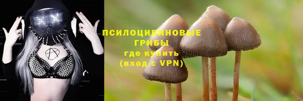 ALPHA PVP Верхнеуральск